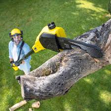 Best Lawn Edging  in Vado, NM